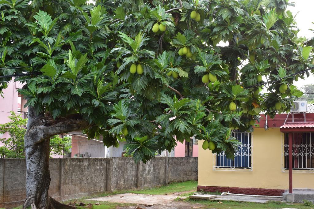 Posada James Сан-Андрес Экстерьер фото